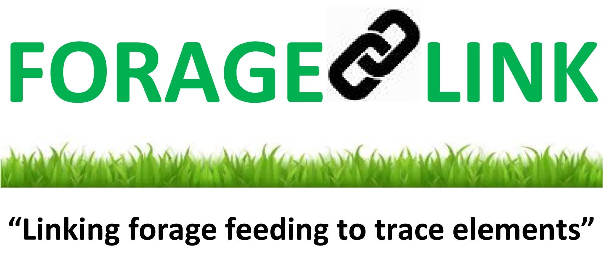 Forage Linking Services | Clinwil